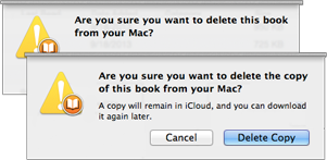 **Figure 20:** The confirmation dialog clarifies whether you’re deleting a “copy” because the book is easily re-downloaded, or you’re erasing the only copy iBooks knows about.