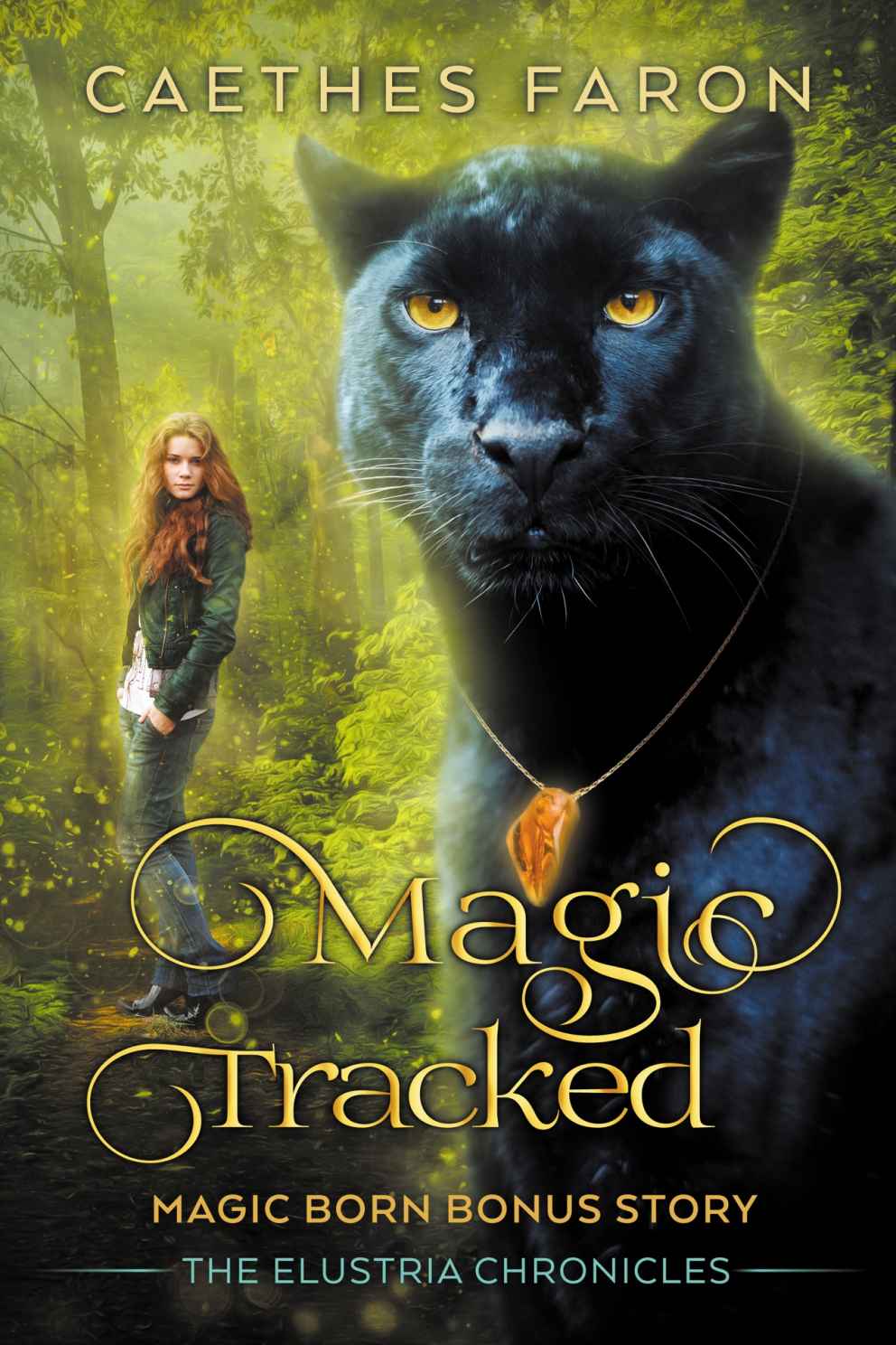 Cover of Magic Tracked