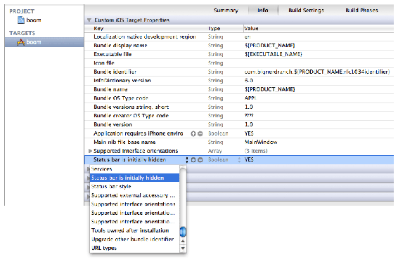 Info property list with hidden status bar