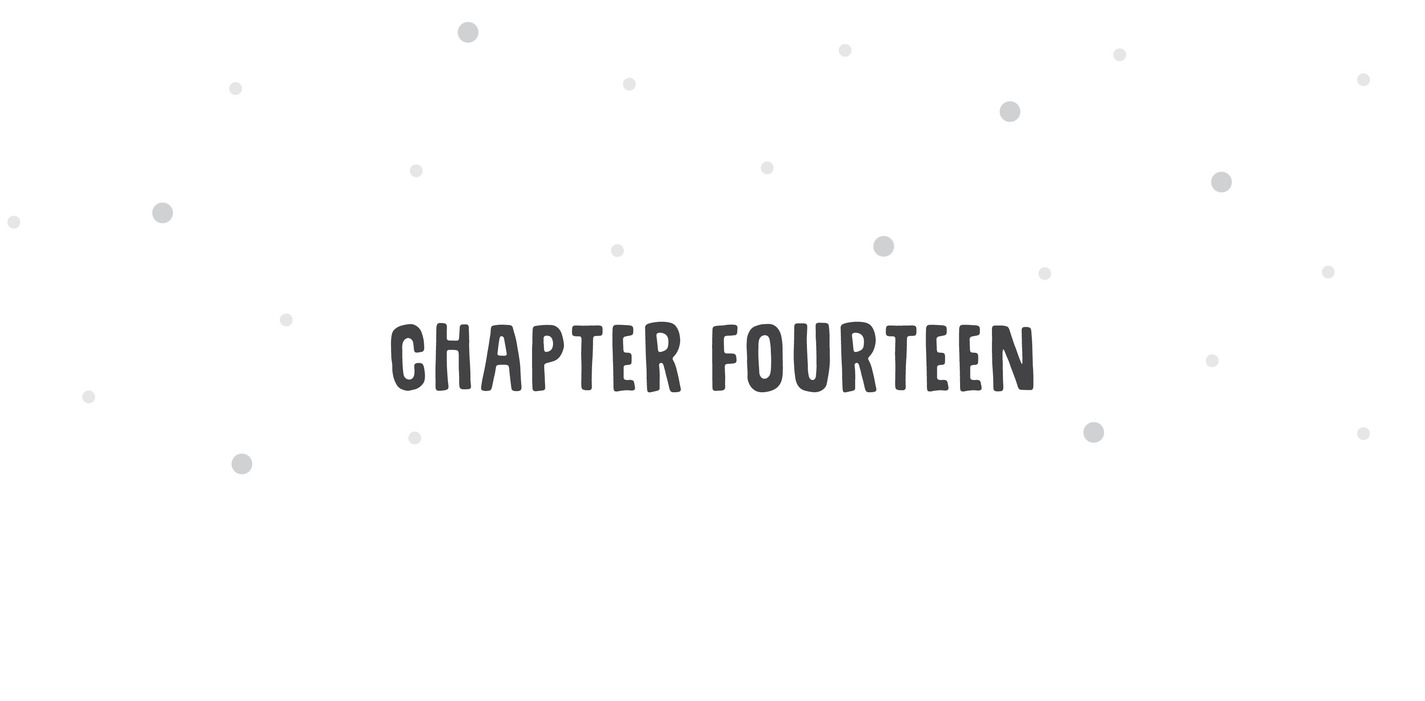 Chapter Fourteen