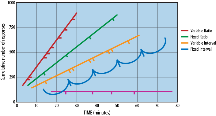 Different kinds of reward schedules produce different levels of behavioral reinforcement in mammals.