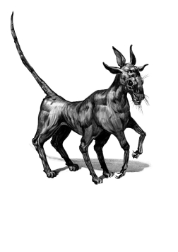 An image of a Freyan near-goat

Description automatically generated