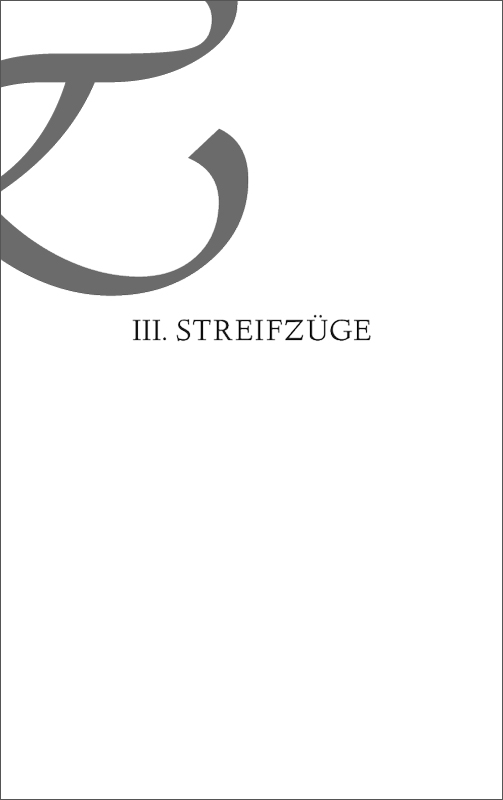 III. Streifzüge