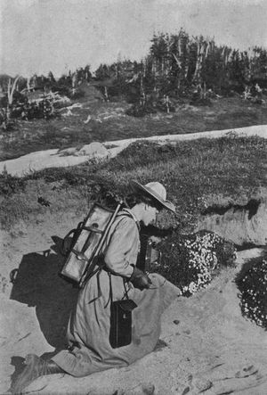 A fair Mountaineer at the timber line.