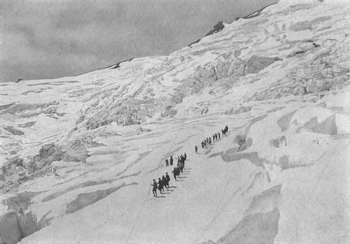 The Sierra Club on Nisqually Glacier.