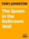 The Spoon in the Bathroom Wall