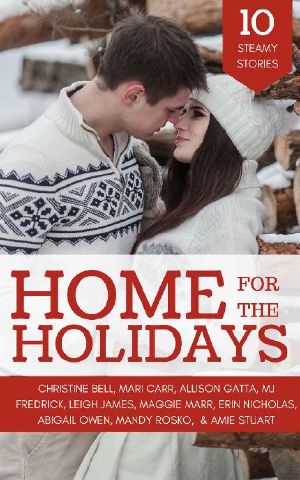 Home for the Holidays · A Contemporary Romance Anthology