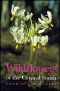Wildflowers of the Central South
