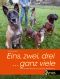 Eins, zwei, drei … ganz viele · Mehrhundehaltung mit positiver Bestärkung