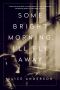 Some Bright Morning, I'll Fly Away · A Memoir