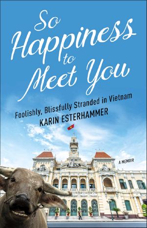 So Happiness to Meet You · Foolishly, Blissfully Stranded in Vietnam