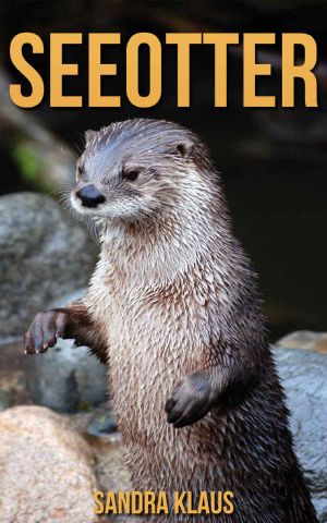 Seeotter