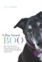 A Dog Named Boo · How One Dog and One Woman Rescued Each Other - and the Lives They Transformed Along the Way