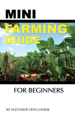 Mini Farming Guide · for Beginners