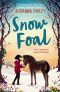 Snow Foal · the Perfect Christmas Book for Children