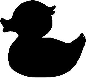 Duck Disaster