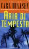 Aria di tempesta
