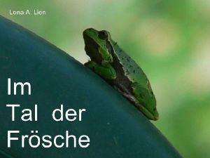 Im Tal der Frösche