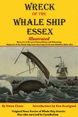 Wreck of the Whale Ship Essex - Illustrated