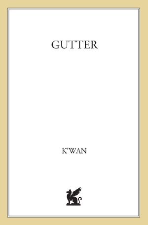 Gutter