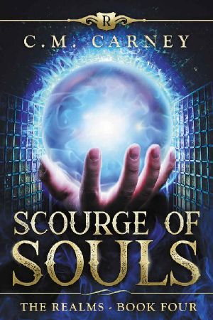 Scourge of Souls: The Realms Book Four: (An Epic LitRPG Series)