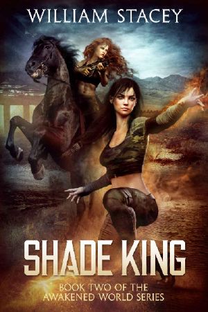 Shade King · An Urban Fantasy Military Adventure (The Awakened World Book 2)