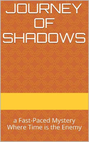 Journey of Shadows · A Fast-Paced Mystery Where Time Is the Enemy