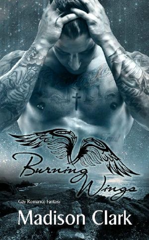 Burning Wings (German Edition)