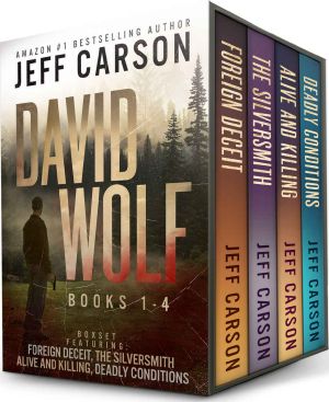 The David Wolf Mystery Thriller Series · Box Set 1-4