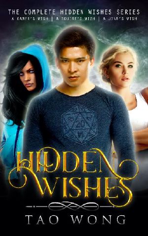 Hidden Wishes books 1-3