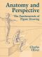 Anatomy and Perspective · the Fundamentals of Figure Drawing (Dover Art Instruction)