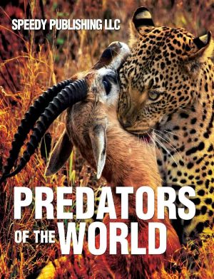 Predators Of The World (Wildlife for Kids)