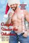 Caught Under the Mistletoe: A Holiday Romance Collection