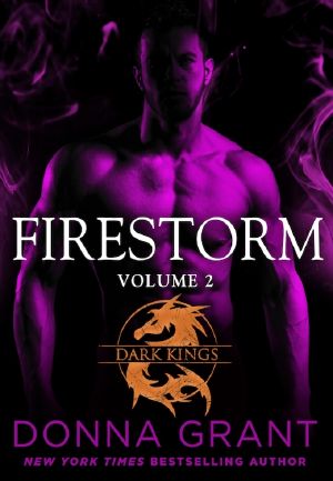 Firestorm · Volume 2