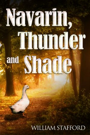 Navarin, Thunder and Shade