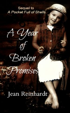 A Year of Broken Promises (Book 2--An Irish Family Saga)