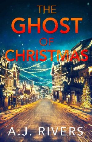 The Ghost of Christmas (Ava James FBI Mystery Book 6)