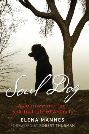 Soul Dog