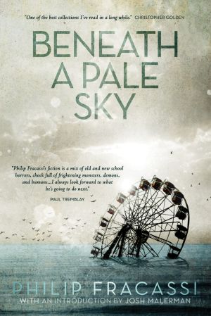 Beneath a Pale Sky