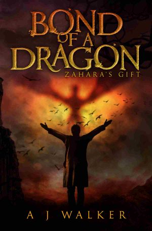 Zahara's Gift: a young adult dragonrider fantasy