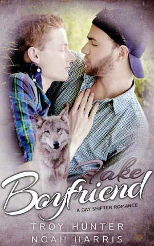 Fake Boyfriend · A Gay Shifter Romance