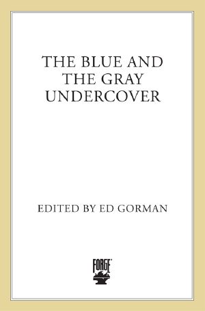 The Blue and the Gray Undercover