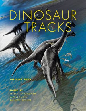 Dinosaur Tracks