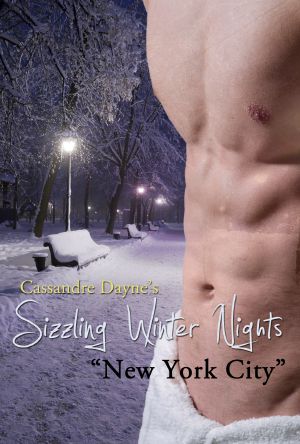 Sizzling Winter Nights · New York City