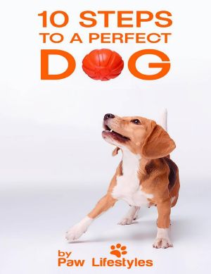 Dog Training · 10 Steps To A Perfect Dog