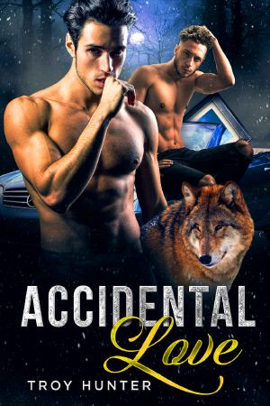 Accidental Love · an MPREG Shifter Romance
