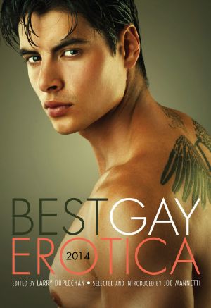 Best Gay Erotica 2014