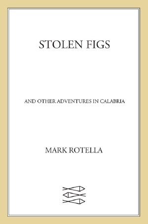 Stolen Figs