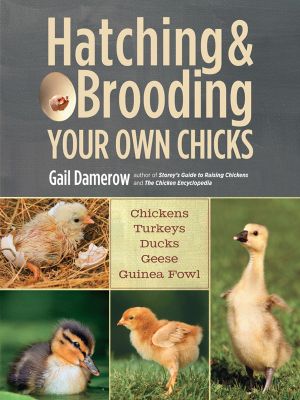 Hatching & Brooding Your Own Chicks