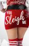 You Sleigh Me · A Christmas Romance (Capricorn Cove Book 9)